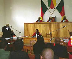 Criminal & Civil Law